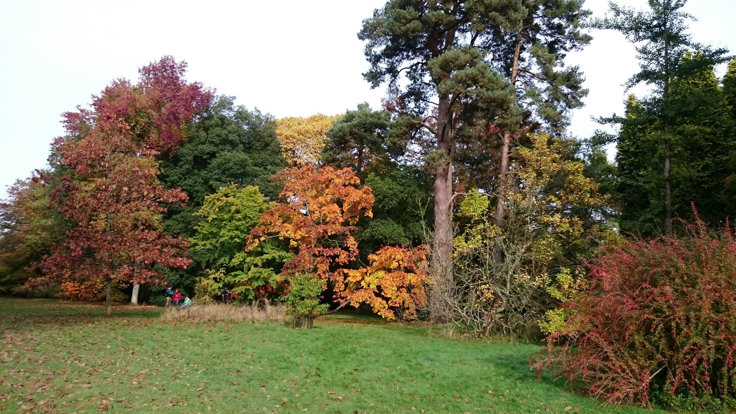 Gardens and Gateaux November 2022 Dawlish & District U3A