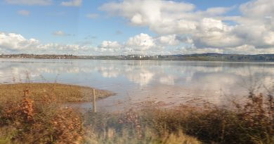 Strollers Social Walking Group – November/December 2025