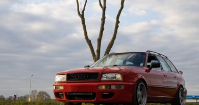 Quiz group – January/February 2026