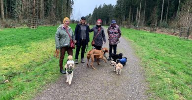 Dog Walking – March 2026