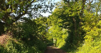 Strollers Social Walking Group – April/May 2026