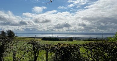 Strollers Social Walking Group – May/June 2026