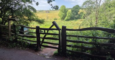 Strollers Social Walking Group – June/July 2026