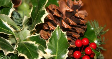 Announcement: Christmas lunch 2026