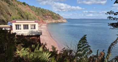 Adventure Group – Sea cave safari